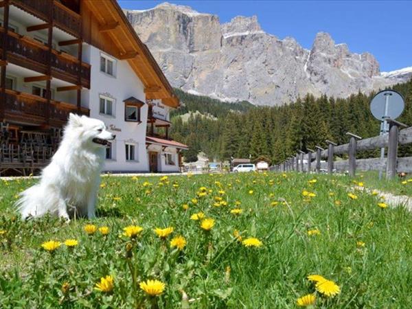 Hotel Lupo Bianco Wellness & Walking - foto 53020.jpg