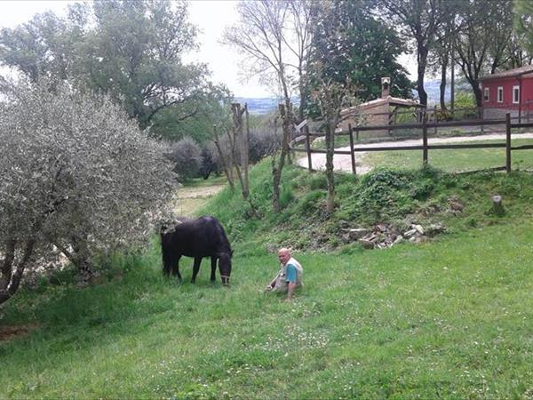 Casa Vacanza La Meridiana - foto 53033.jpg