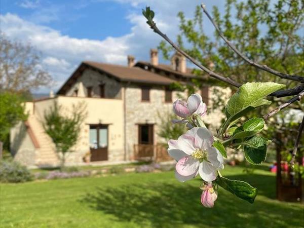 Agriturismo Domus Santa Croce - foto 53057.jpg