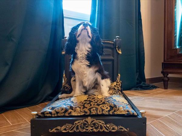 CasaBella 22 - foto 53087.jpg