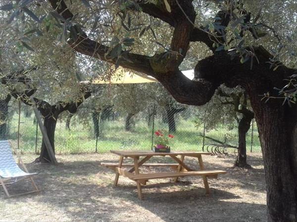 La stalla di nonno Zopito - foto 53110.jpg