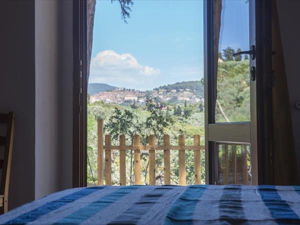 Dolce Vita - foto 53116.jpg