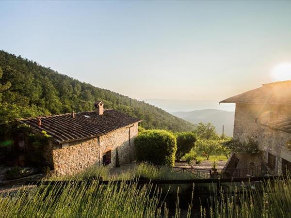 Villa Ancora Tenuta Lonciano  - foto 53148.jpg