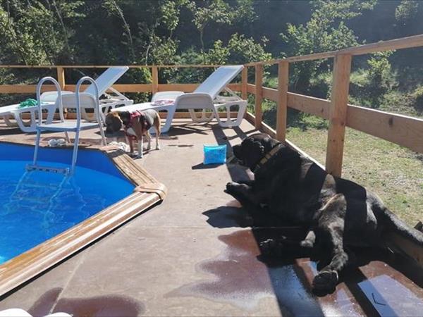 A casa di Heidy Dog Friendly - foto 53156.jpg