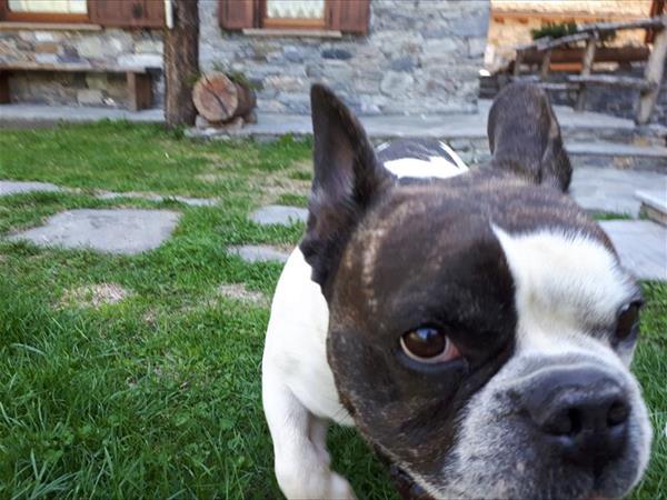 Residence Le Petit Coeur - foto 53207.jpg