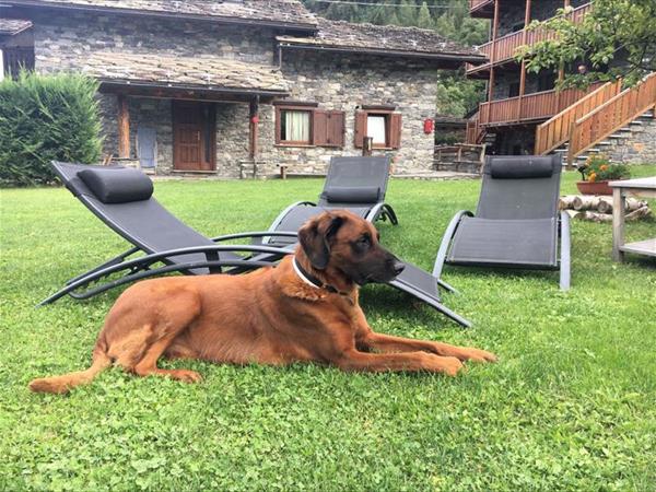 Residence Le Petit Coeur - foto 53208.jpg