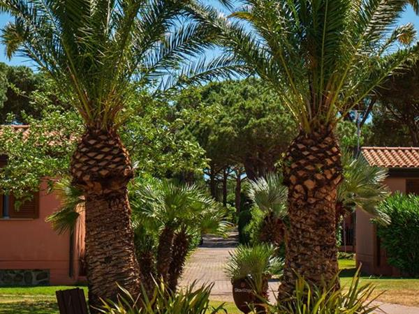 Gitavillage Club Degli Amici - foto 53290.jpg