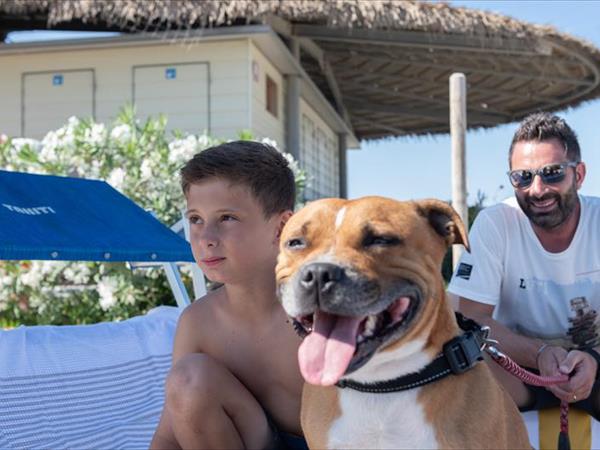 Camping Village Tahiti - foto 53301.jpg