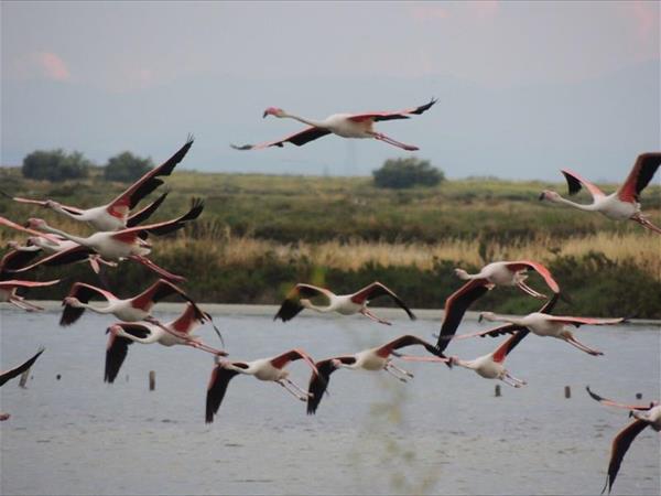 Camping Village Tahiti - foto 53326.jpg