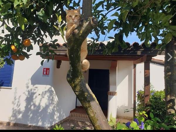 Residence Emmesse - foto 53349.jpg