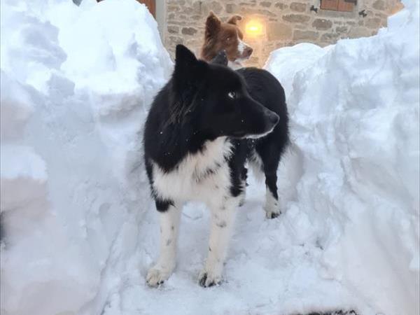 Alpe di Sara - foto 53362.jpg