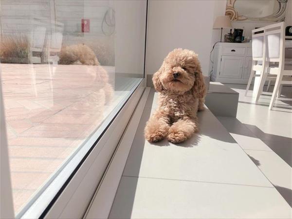 Hotel B&B Mon Pays - foto 53383.jpg