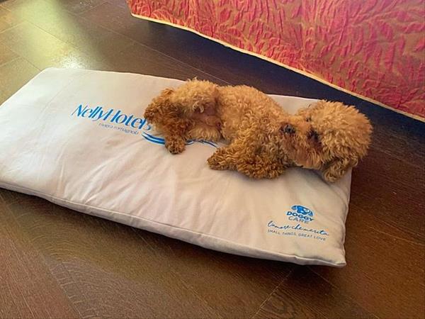 Hotel B&B Mon Pays - foto 53386.jpg