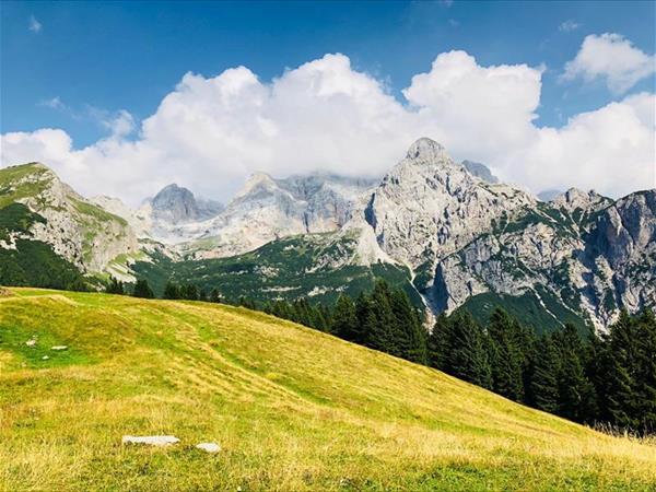 Vital Hotel Flora - foto 53455.jpg