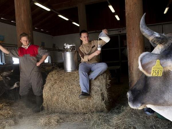 Maso Fior di Bosco - foto 53606.jpg