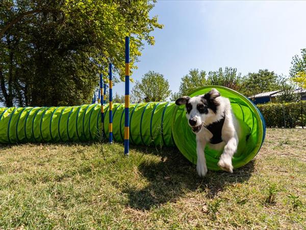 Club del Sole La Risacca Family Camping Village - foto 53631.jpg