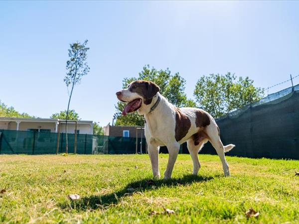 Club del Sole Rimini Family Village - foto 53661.jpg