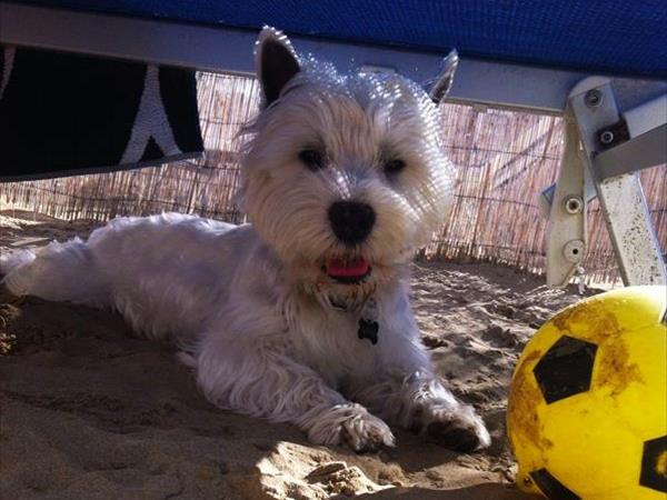 Bagno 85b Gibo  - foto 53764.jpg