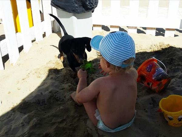 Bagno 85b Gibo  - foto 53766.jpg