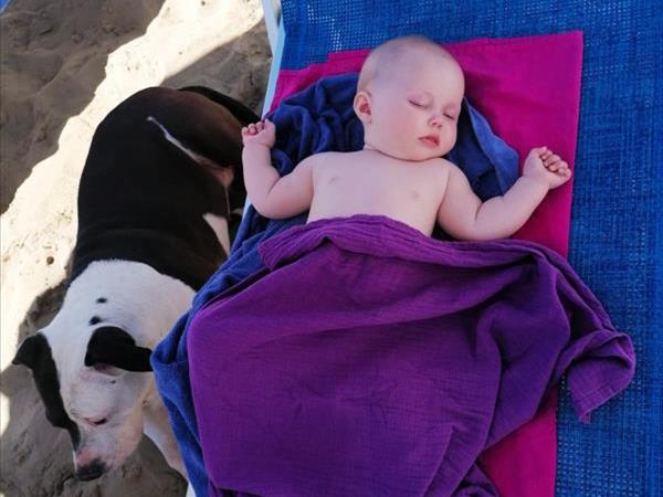 Bagno 85b Gibo  - foto 53773.jpg