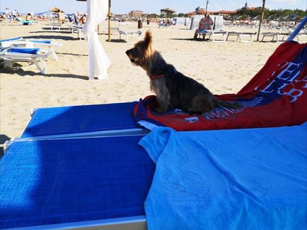 Bagno 85b Gibo  - foto 53775.jpg