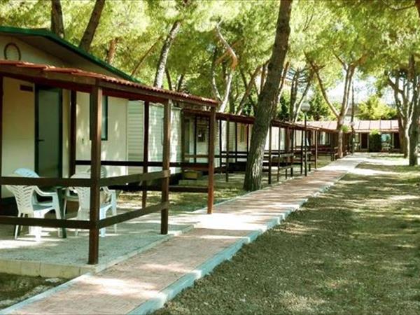 Villaggio Camping Costa dArgento - foto 53785.jpg