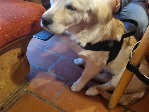 Pension Dangl - Glacier rock - foto 53796.jpg