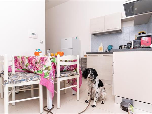 Astonishing Calabria pet friendly apts - foto 53814.jpg