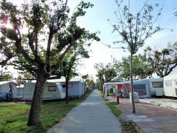 Pet Family Camping Cortina - foto 53832.jpg