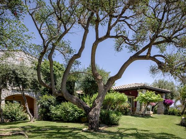 Cruccris Resort - foto 53842.jpg