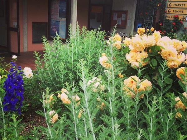 LE TRE ISOLE villaggio albergo  - foto 53860.jpg