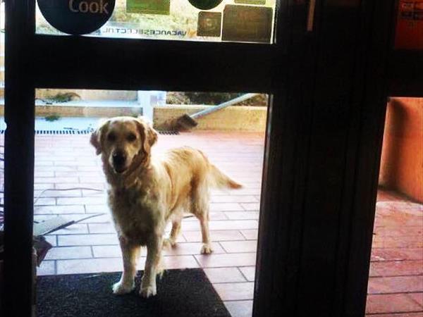 LE TRE ISOLE villaggio albergo  - foto 53862.jpg