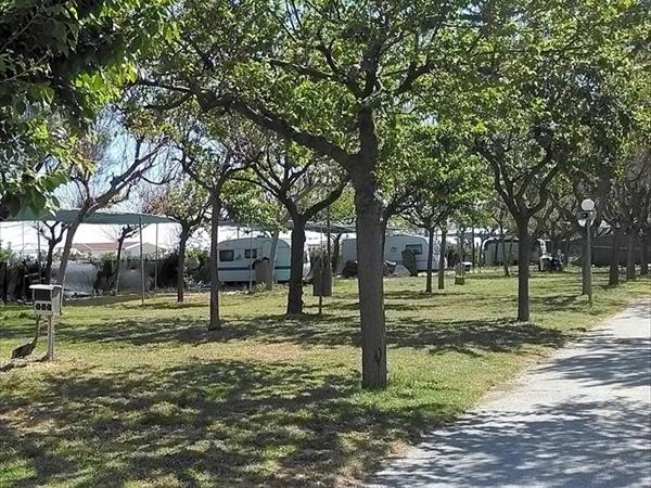 Pet Family Camping Cortina - foto 53898.jpg