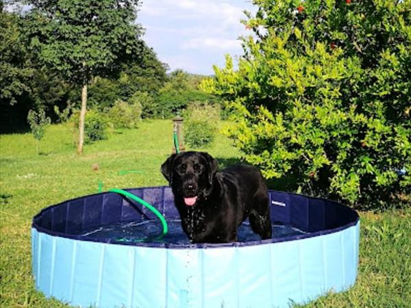 Il Rustico di Roby - foto 53908.jpg