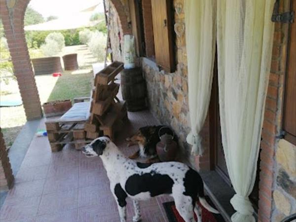 Il Rustico di Roby - foto 53909.jpg