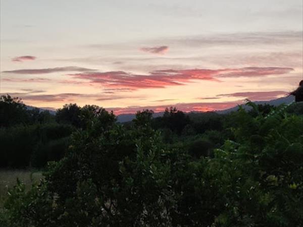 Il Rustico di Roby - foto 53911.jpg