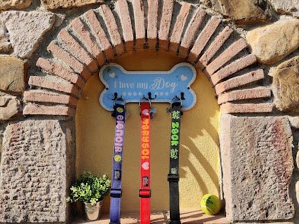 Il Rustico di Roby - foto 53913.jpg