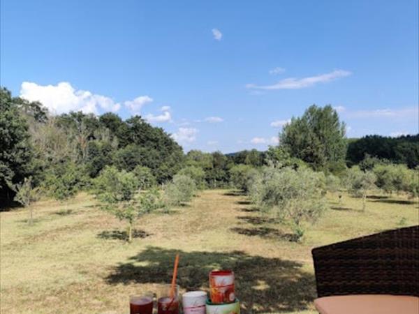 Il Rustico di Roby - foto 53955.jpg