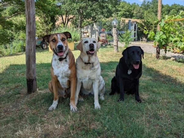 Il Rustico di Roby - foto 53957.jpg