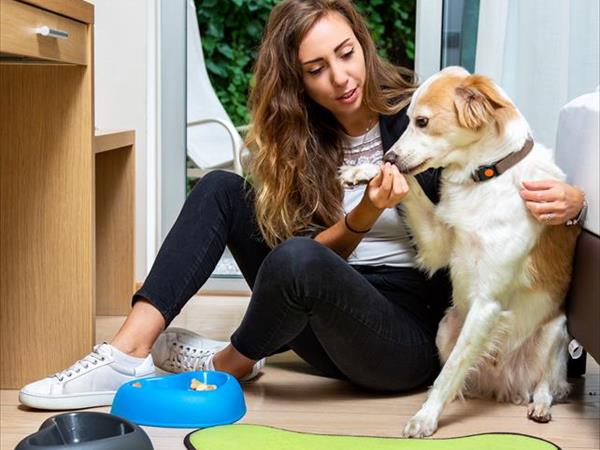 Best Western Hotel Adige - foto 53970.jpg