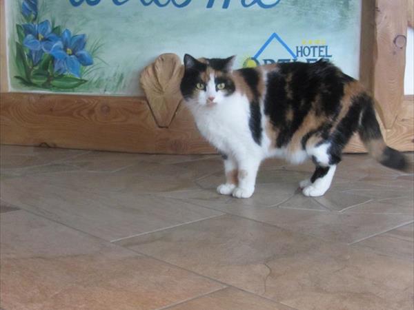 Hotel Ortles - foto 53985.jpg