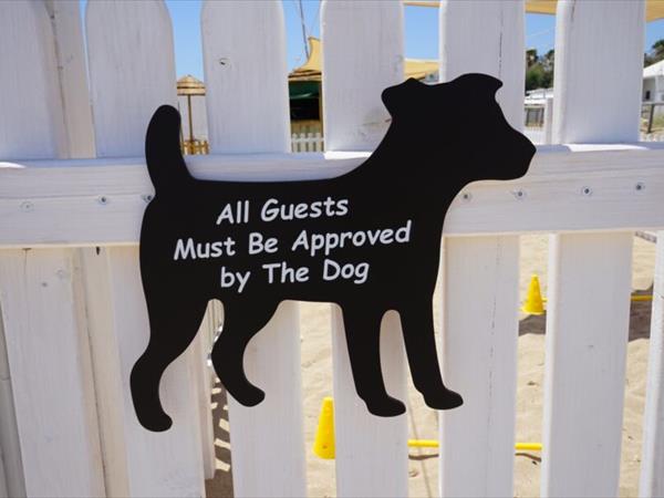 Lido Fuori Rotta - foto 54004.jpg