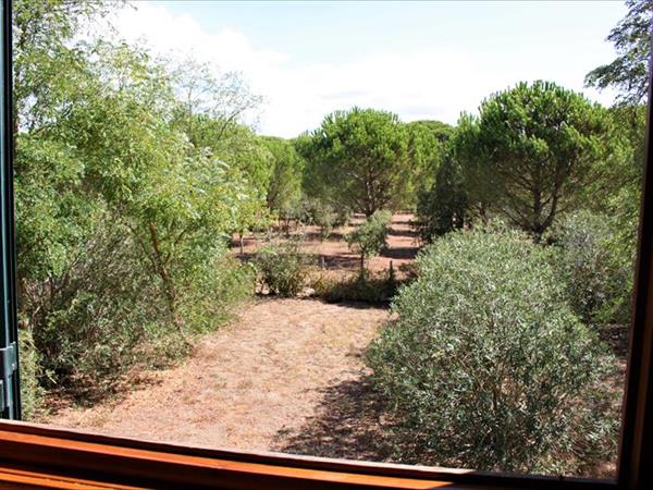 La Canova II  - foto 54029.jpg