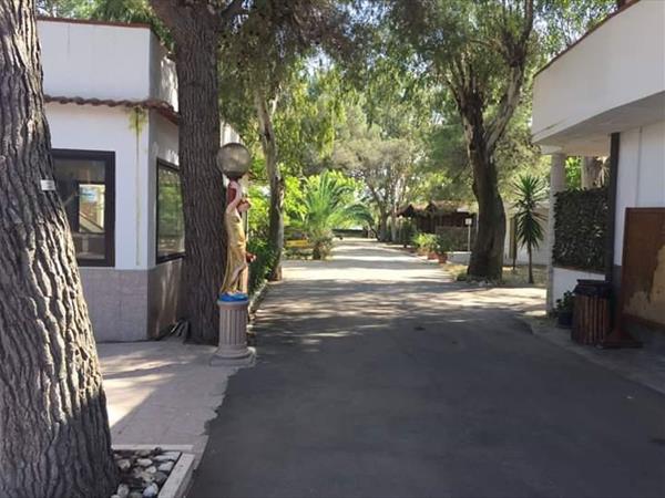 VIOLA Club Village & Camping - foto 54068.jpg