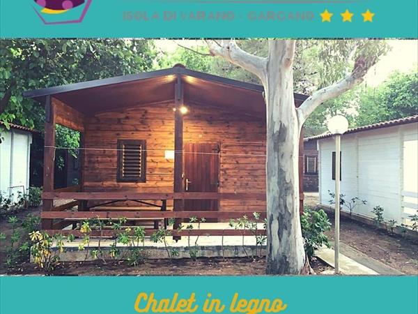 VIOLA Club Village & Camping - foto 54076.jpg