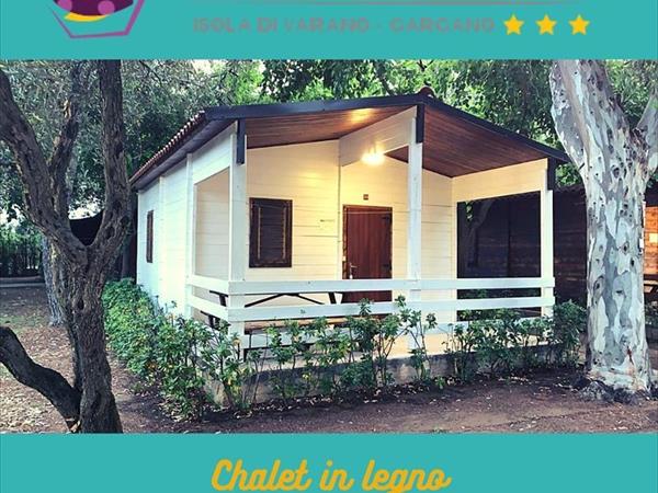 VIOLA Club Village & Camping - foto 54077.jpg