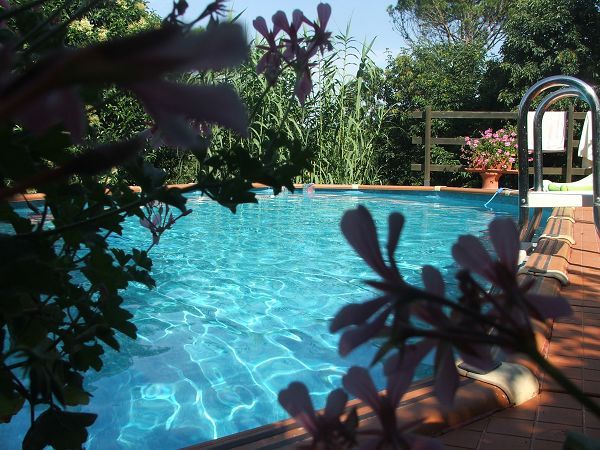 Azienda Agrituristica Il Poggetto - foto 944.jpg