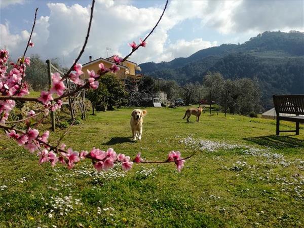 B&B Casa KaRa - foto 54156.jpg