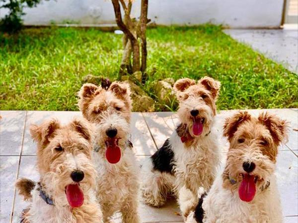 Ville Refolo - foto 54157.jpg