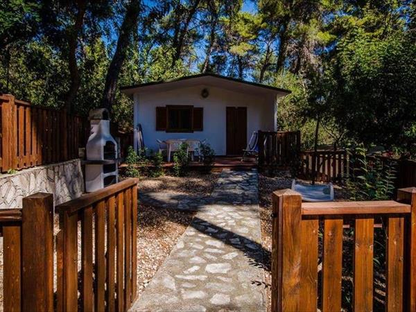 Camping Villaggio Internazionale - foto 54187.jpg